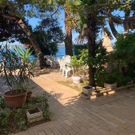 Seaside Apartment Padre Bibinje Exterior foto